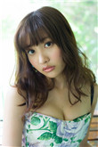 小菊春天